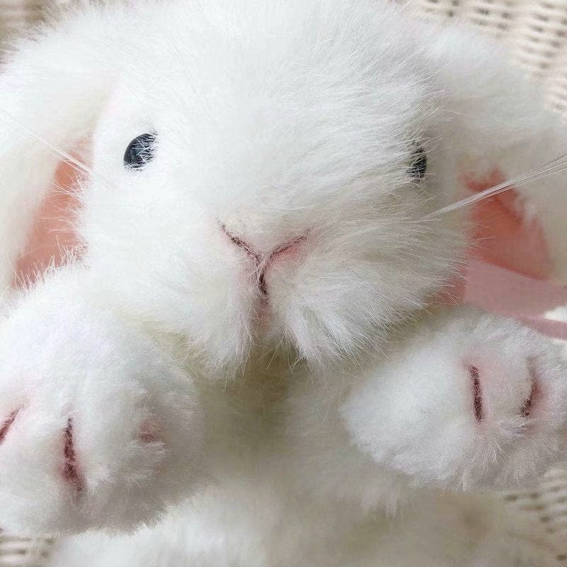 High level quality plush rabbit stuffed animal bunny toy BENNYS 