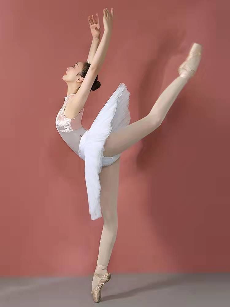 Professional Ballet Swan Lake Performance Tutu Skirt BENNYS 